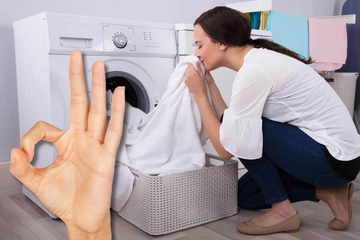 Ogni lavatrice ha un pulsante per la pulizia